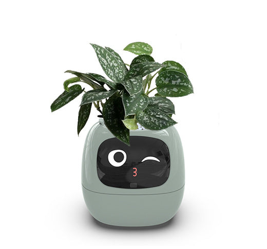 Smart AI Planter with 49 Expressions